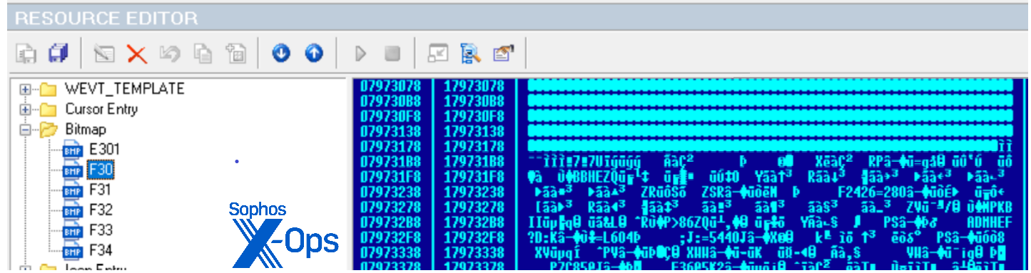 Source as described in text, with the shellcodes visible